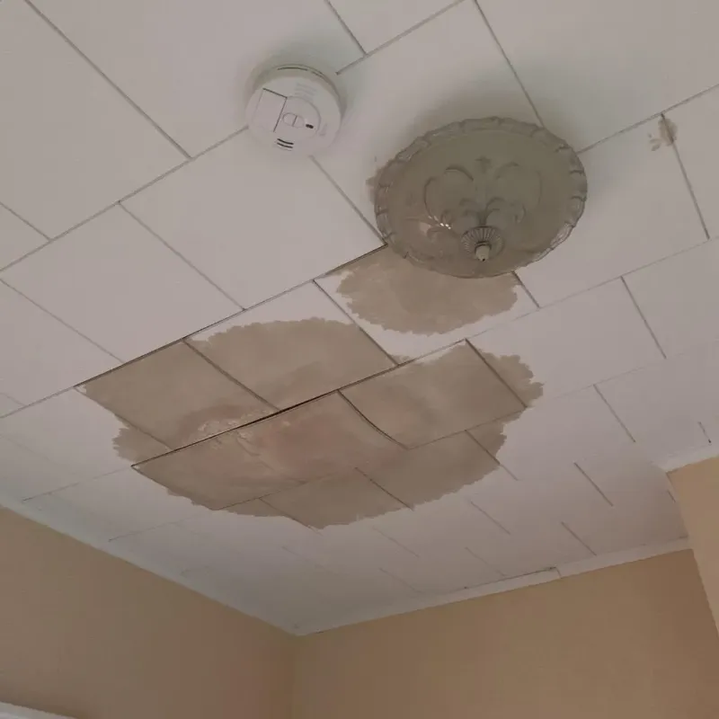 Ceiling Water Damage Repair in Cross Lake, MN