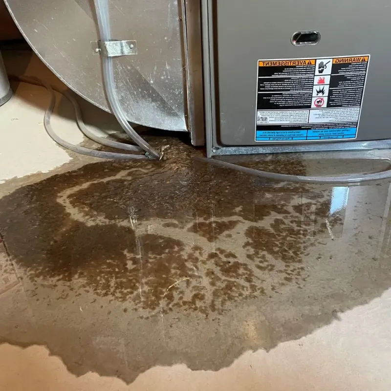 Pipe Burst and Leak Restoration in Cross Lake, MN